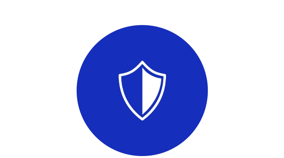 Blue Team