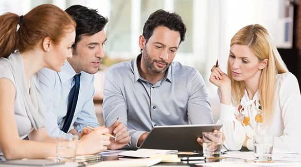 Consulting and Development