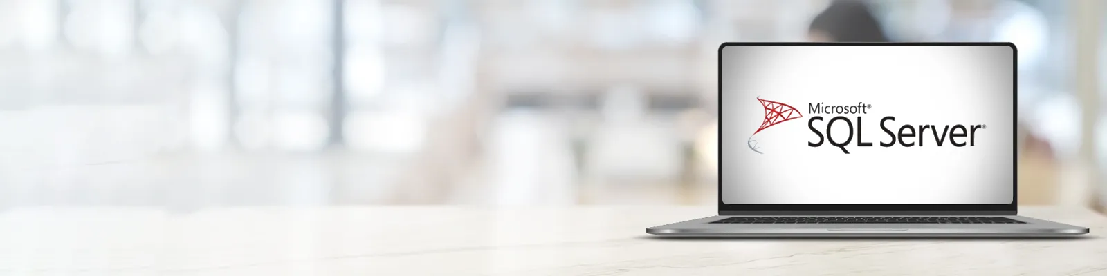 SQL Server for Private Servers