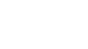 Net Mobile TV